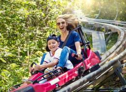 Copperhead Mountain Coaster at Shepherd of the Hills Adventure Park